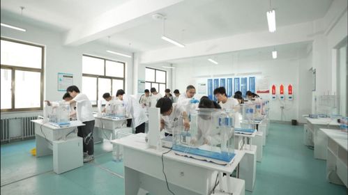 技能啟航未來，職教鑄就夢想——蘭州資源環(huán)境職業(yè)技術(shù)大學(xué)旅游信息咨詢服務(wù)專業(yè)建設(shè)探索